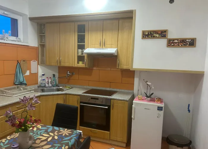 Appartement U Kulaté Báby Ostrov (Karlovy Vary)