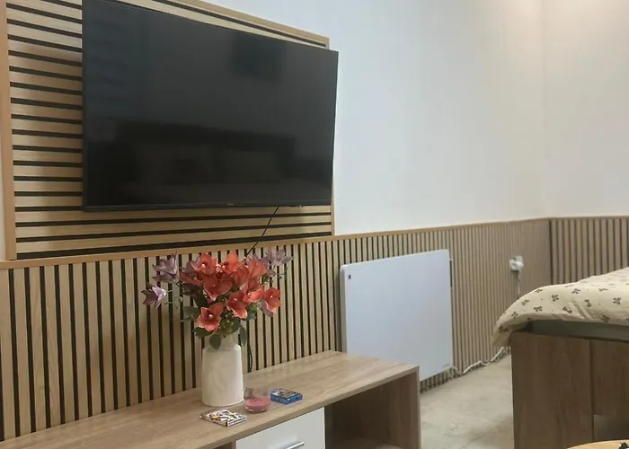 Appartement U Kulaté Báby Ostrov (Karlovy Vary)